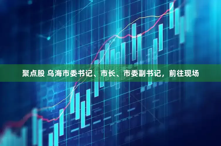 聚点股 乌海市委书记、市长、市委副书记，前往现场