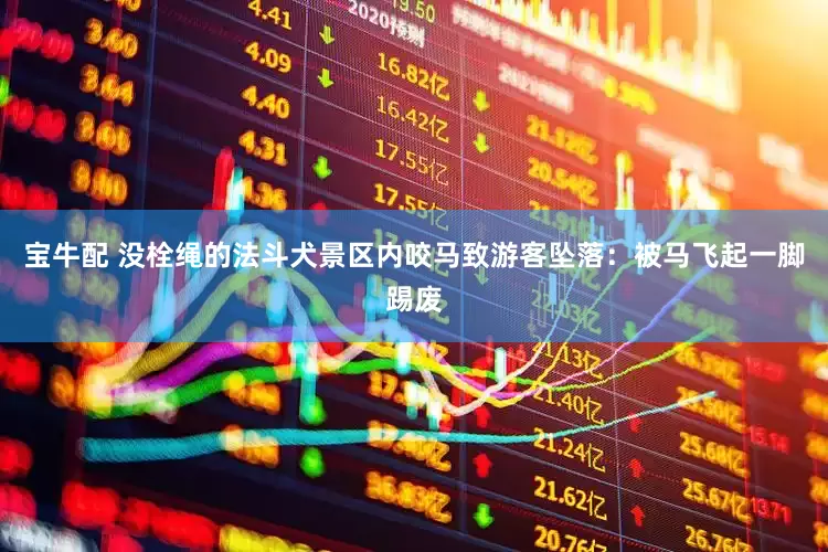 宝牛配 没栓绳的法斗犬景区内咬马致游客坠落：被马飞起一脚踢废