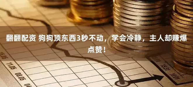 翻翻配资 狗狗顶东西3秒不动，学会冷静，主人却赚爆点赞！