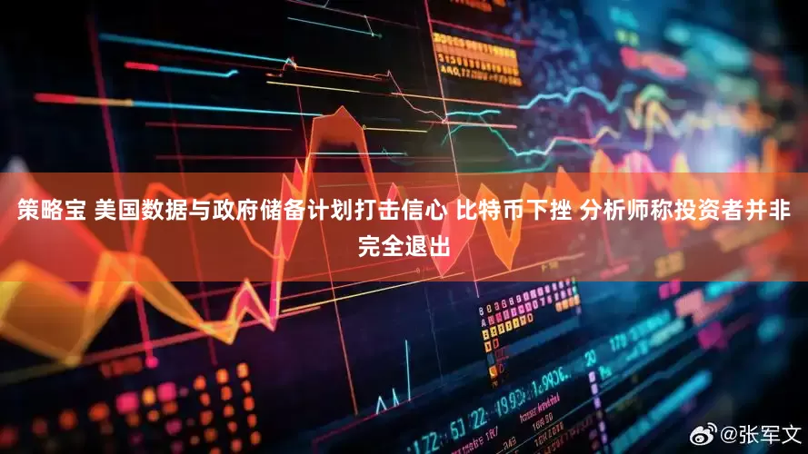 策略宝 美国数据与政府储备计划打击信心 比特币下挫 分析师称投资者并非完全退出