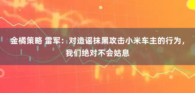 金橘策略 雷军：对造谣抹黑攻击小米车主的行为，我们绝对不会姑息