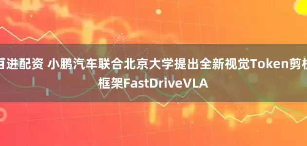 百进配资 小鹏汽车联合北京大学提出全新视觉Token剪枝框架FastDriveVLA